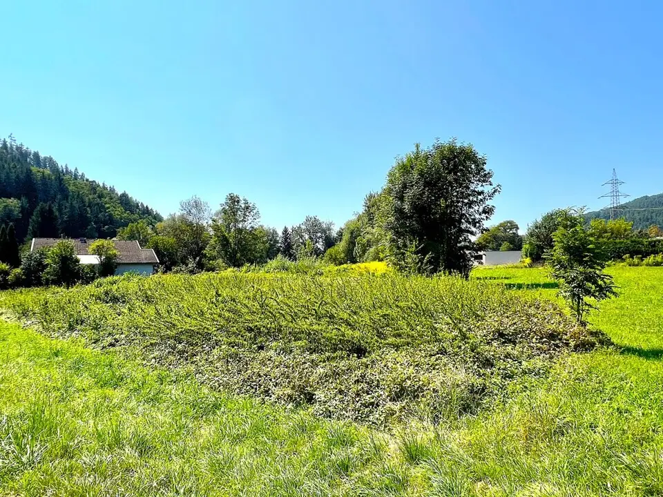 Sonniges Grundstück in Pischeldorf – Bild 6