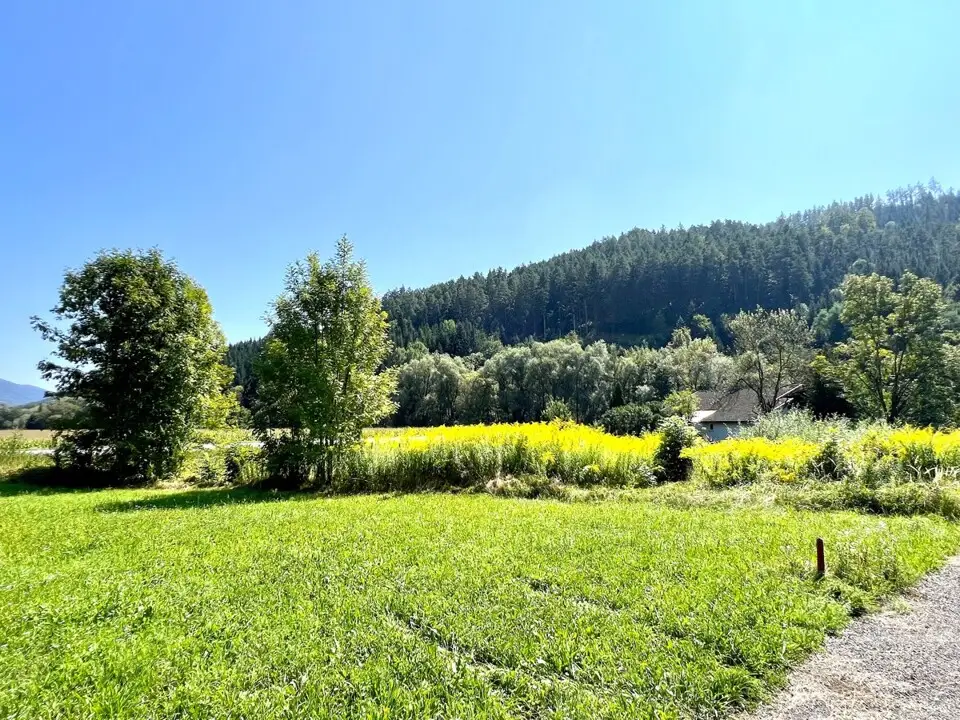 Sonniges Grundstück in Pischeldorf – Bild 8